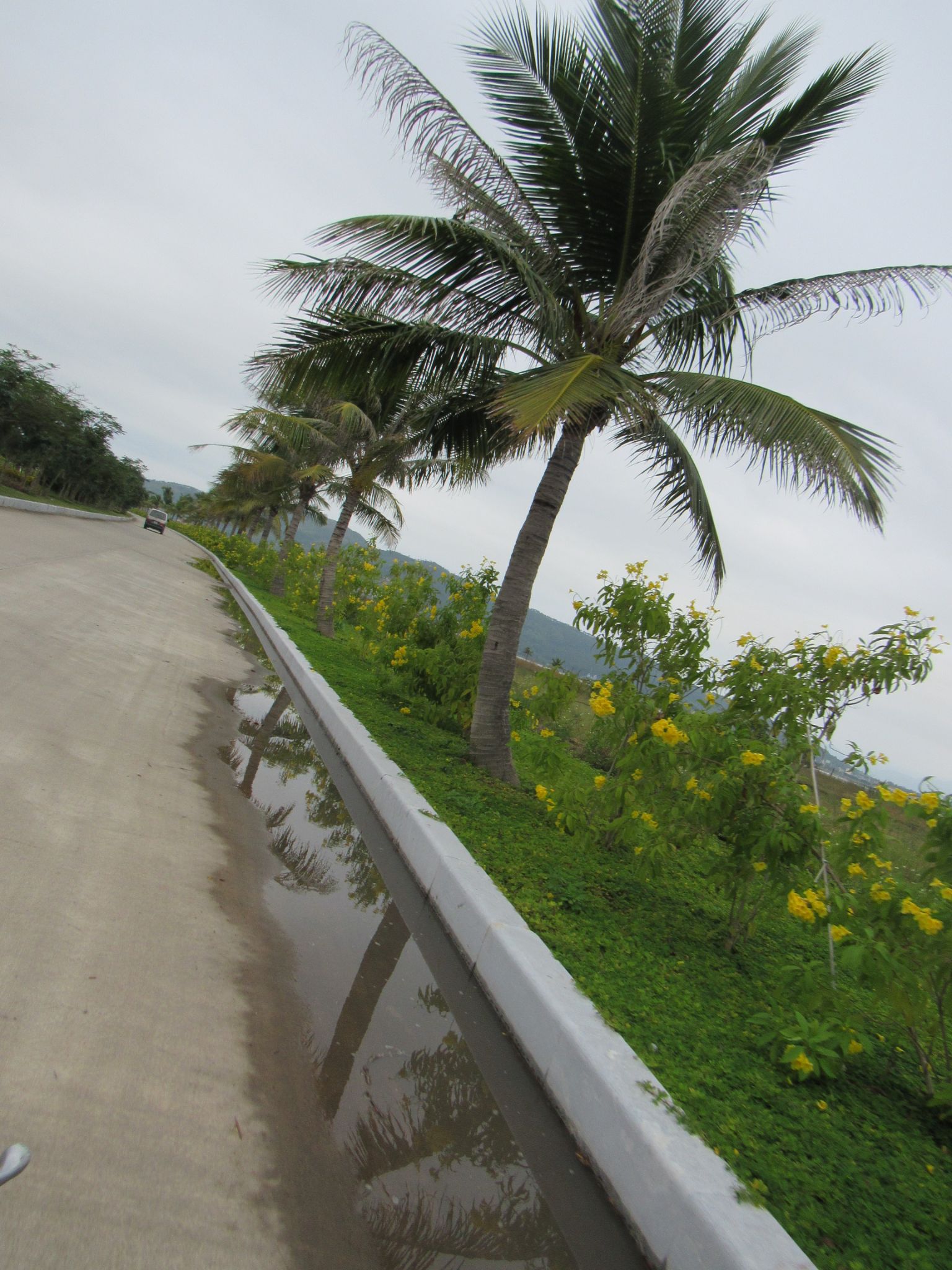 IMG 2296 (2)